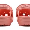 Crocs (WMNS) Classic Clog Outdoor Strand Sport Hausschuhe Rosa 10001-737 Crocs (WMNS) Classic Clog Outdoor Strand Sport Hausschuhe Rosa 10001-737